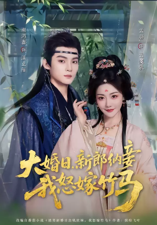 大婚日，新郎纳妾我怒嫁竹马 _ 封面